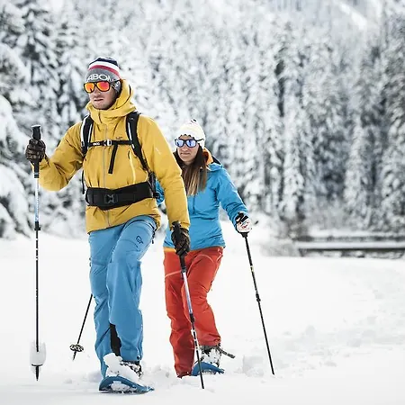 Alpenpension Pfurtscheller 4* Нойштифт-им-Штубайталь