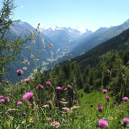 Alpenpension Pfurtscheller