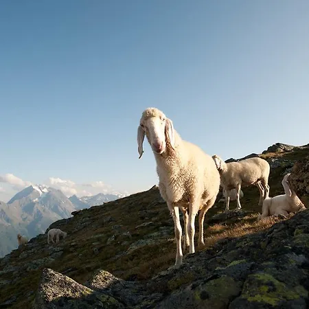 Pensión Alpenpension Pfurtscheller