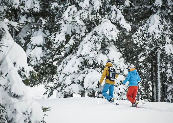 Pensjonat Alpenpension Pfurtscheller