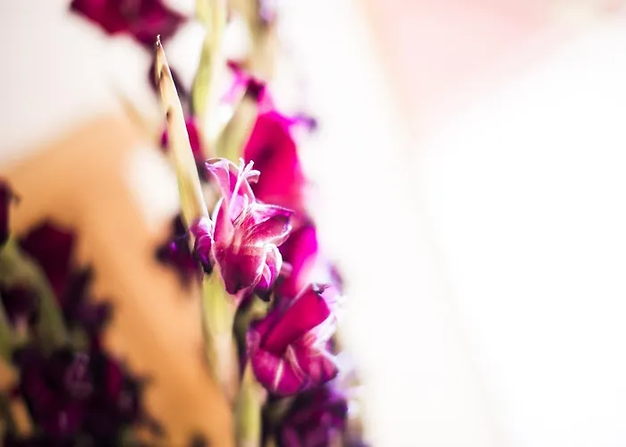 Vendégház Alpenpension Pfurtscheller 4*