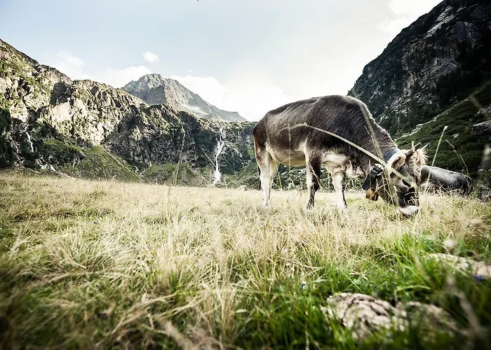 Alpenpension Pfurtscheller