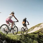 Alpenpension Pfurtscheller Pensjonat 4*